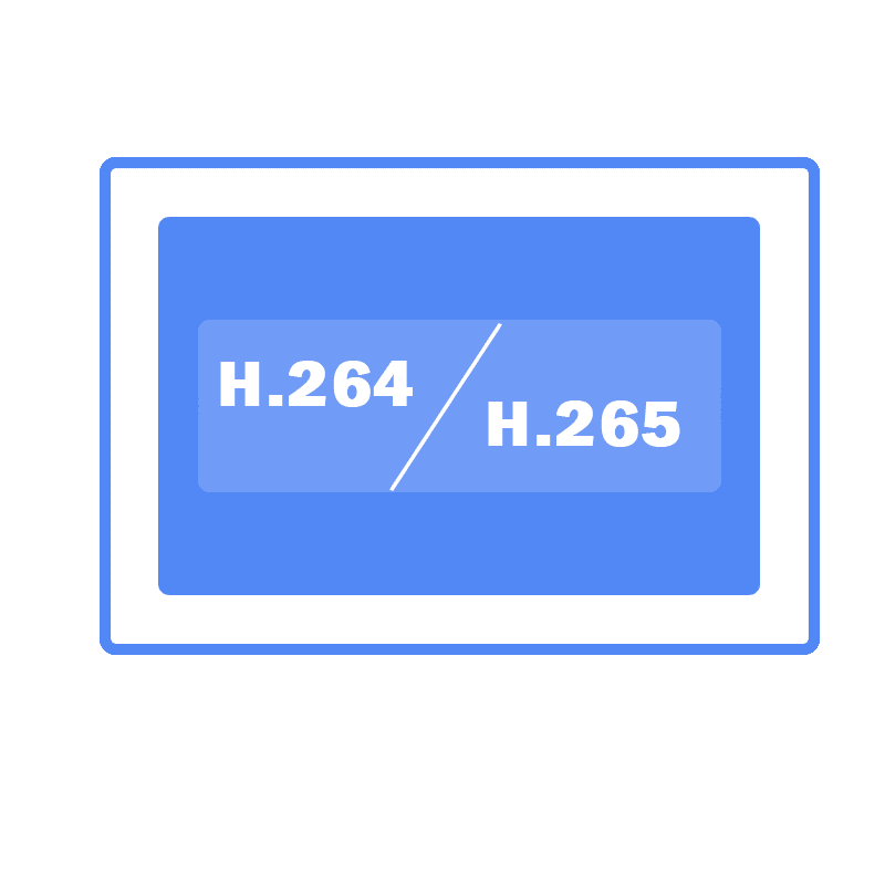 support 264 and H265