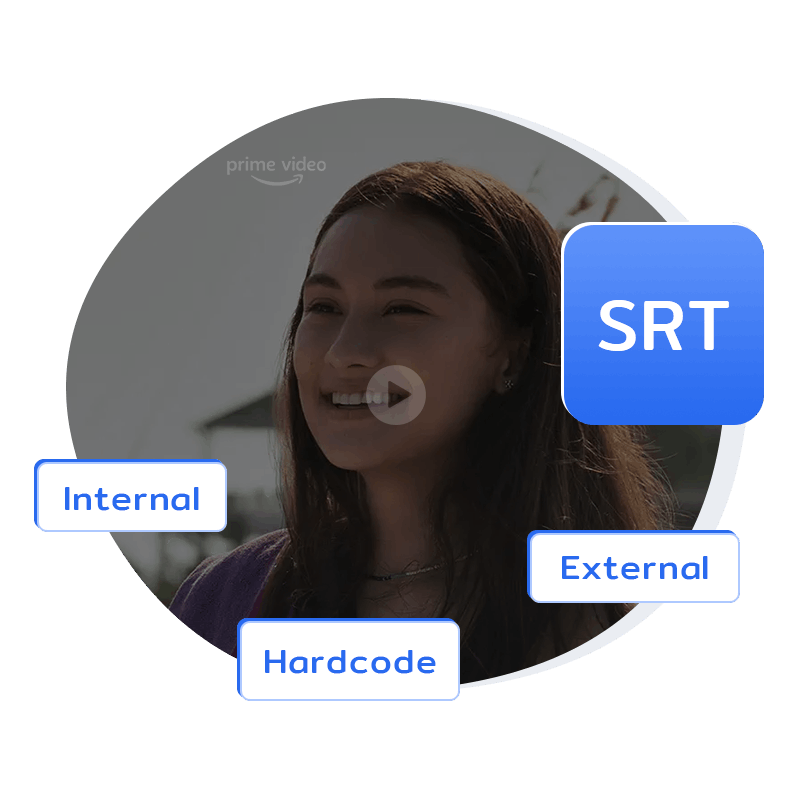 support three subtitles modes