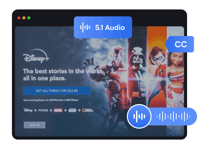Audio Tracks and Subtitles