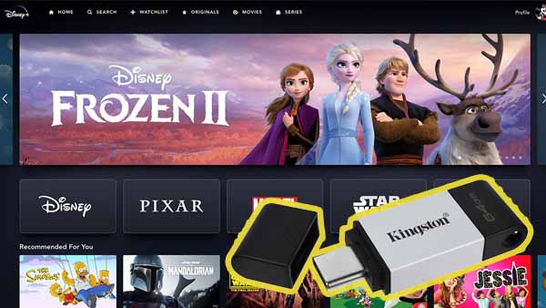 download Disney Plus videos to USB