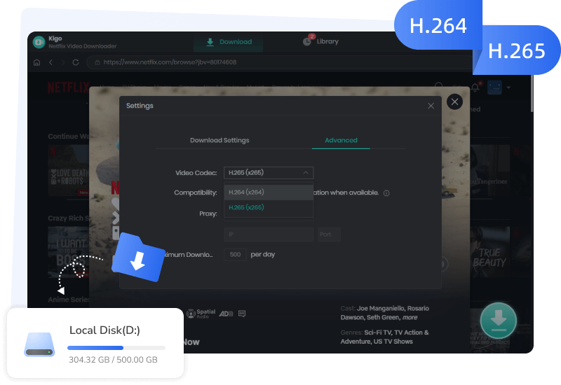 support 2 video codecs