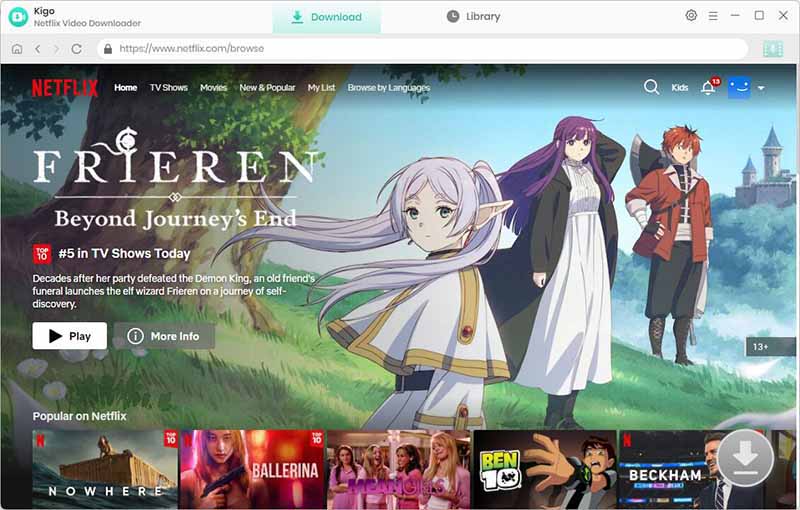 kigo netflix video downloader